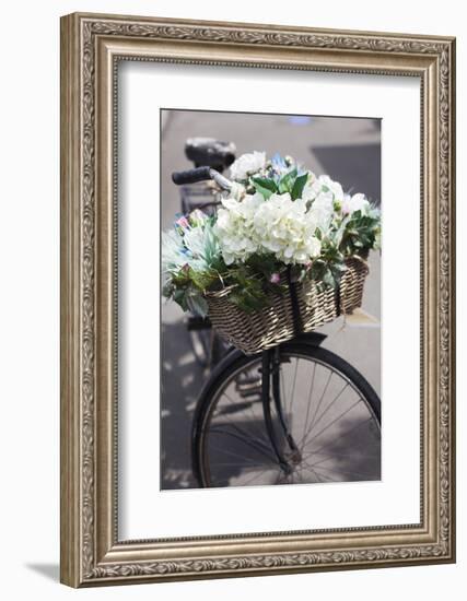 New Zealand, North Island, Martinborough. Bicycle with flowers-Walter Bibikow-Framed Photographic Print