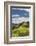 New Zealand, North Island, Wharekawa, landscape-Walter Bibikow-Framed Photographic Print