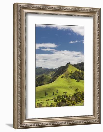 New Zealand, North Island, Wharekawa, landscape-Walter Bibikow-Framed Photographic Print