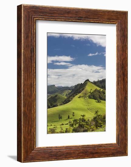 New Zealand, North Island, Wharekawa, landscape-Walter Bibikow-Framed Photographic Print