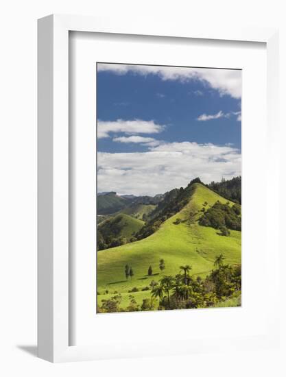 New Zealand, North Island, Wharekawa, landscape-Walter Bibikow-Framed Photographic Print