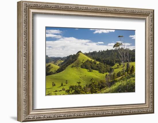 New Zealand, North Island, Wharekawa, landscape-Walter Bibikow-Framed Photographic Print