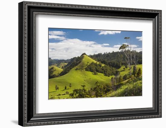 New Zealand, North Island, Wharekawa, landscape-Walter Bibikow-Framed Photographic Print