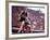 New Zealand's Peter Snell in Action at the Summer Olympics-John Dominis-Framed Premium Photographic Print