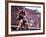 New Zealand's Peter Snell in Action at the Summer Olympics-John Dominis-Framed Premium Photographic Print