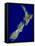 New Zealand, Satellite Image-PLANETOBSERVER-Framed Premier Image Canvas