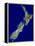 New Zealand, Satellite Image-PLANETOBSERVER-Framed Premier Image Canvas