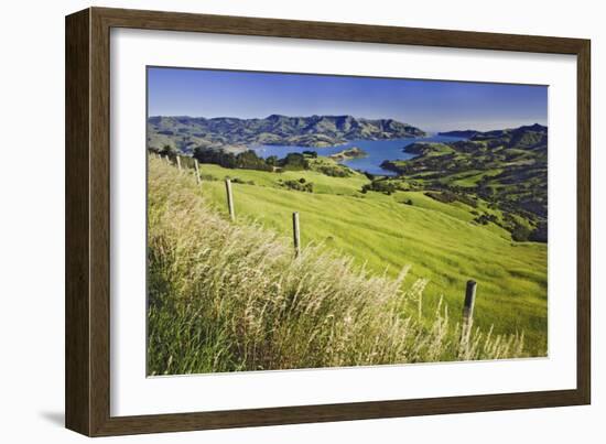 New Zealand, South Island. Akaroa Harbor landscape.-Jaynes Gallery-Framed Photographic Print