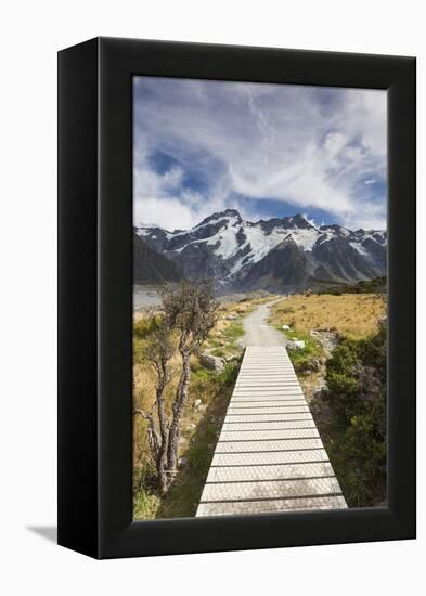 New Zealand, South Island, Canterbury, Trail through Aoraki-Mt. Cook National Park-Walter Bibikow-Framed Premier Image Canvas