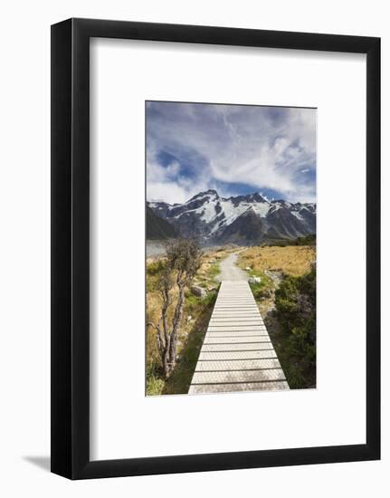 New Zealand, South Island, Canterbury, Trail through Aoraki-Mt. Cook National Park-Walter Bibikow-Framed Photographic Print