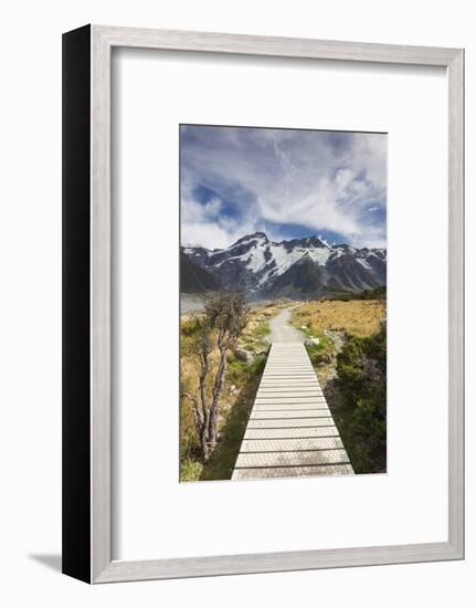 New Zealand, South Island, Canterbury, Trail through Aoraki-Mt. Cook National Park-Walter Bibikow-Framed Photographic Print