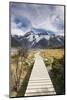 New Zealand, South Island, Canterbury, Trail through Aoraki-Mt. Cook National Park-Walter Bibikow-Mounted Photographic Print