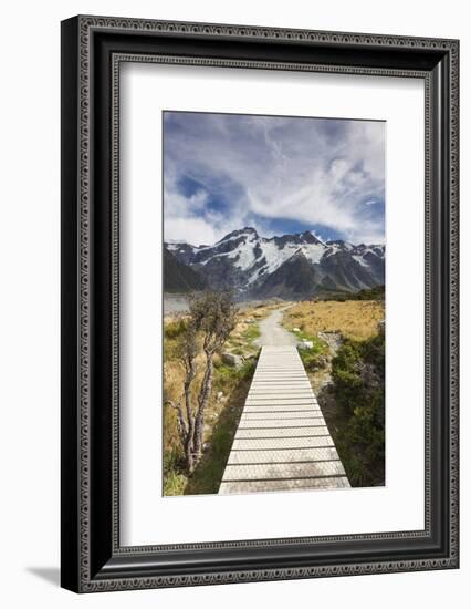 New Zealand, South Island, Canterbury, Trail through Aoraki-Mt. Cook National Park-Walter Bibikow-Framed Photographic Print