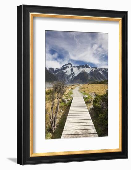 New Zealand, South Island, Canterbury, Trail through Aoraki-Mt. Cook National Park-Walter Bibikow-Framed Photographic Print