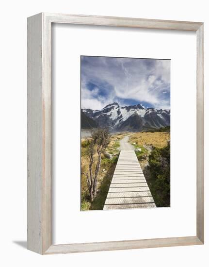 New Zealand, South Island, Canterbury, Trail through Aoraki-Mt. Cook National Park-Walter Bibikow-Framed Photographic Print