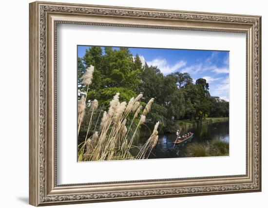 New Zealand, South Island, Christchurch, punting on the Avon River-Walter Bibikow-Framed Photographic Print