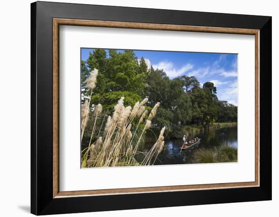 New Zealand, South Island, Christchurch, punting on the Avon River-Walter Bibikow-Framed Photographic Print