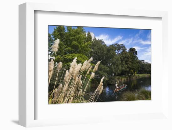 New Zealand, South Island, Christchurch, punting on the Avon River-Walter Bibikow-Framed Photographic Print