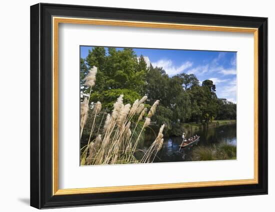 New Zealand, South Island, Christchurch, punting on the Avon River-Walter Bibikow-Framed Photographic Print