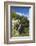 New Zealand, South Island, Christchurch, punting on the Avon River-Walter Bibikow-Framed Photographic Print