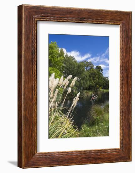 New Zealand, South Island, Christchurch, punting on the Avon River-Walter Bibikow-Framed Photographic Print