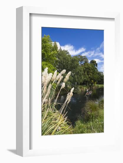 New Zealand, South Island, Christchurch, punting on the Avon River-Walter Bibikow-Framed Photographic Print