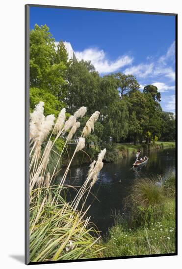 New Zealand, South Island, Christchurch, punting on the Avon River-Walter Bibikow-Mounted Photographic Print