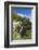 New Zealand, South Island, Christchurch, punting on the Avon River-Walter Bibikow-Framed Photographic Print