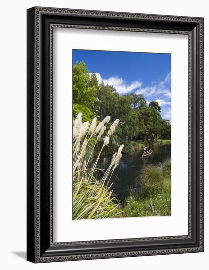 New Zealand, South Island, Christchurch, punting on the Avon River-Walter Bibikow-Framed Photographic Print