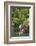 New Zealand, South Island, Christchurch, punting on the Avon River-Walter Bibikow-Framed Photographic Print