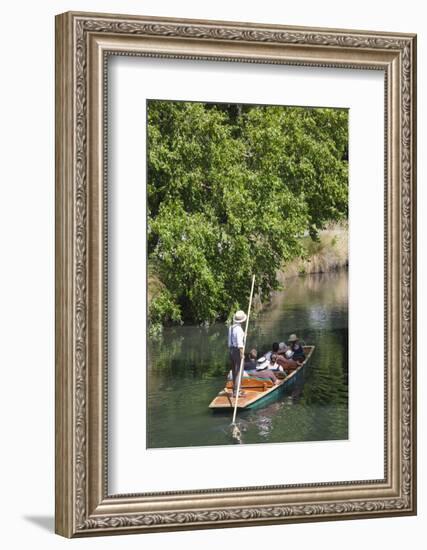 New Zealand, South Island, Christchurch, punting on the Avon River-Walter Bibikow-Framed Photographic Print