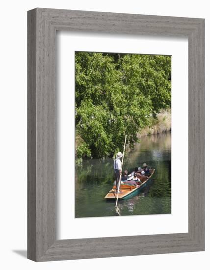 New Zealand, South Island, Christchurch, punting on the Avon River-Walter Bibikow-Framed Photographic Print