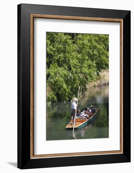 New Zealand, South Island, Christchurch, punting on the Avon River-Walter Bibikow-Framed Photographic Print