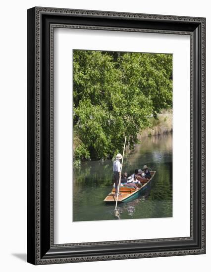 New Zealand, South Island, Christchurch, punting on the Avon River-Walter Bibikow-Framed Photographic Print