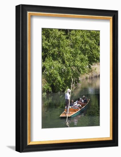 New Zealand, South Island, Christchurch, punting on the Avon River-Walter Bibikow-Framed Photographic Print