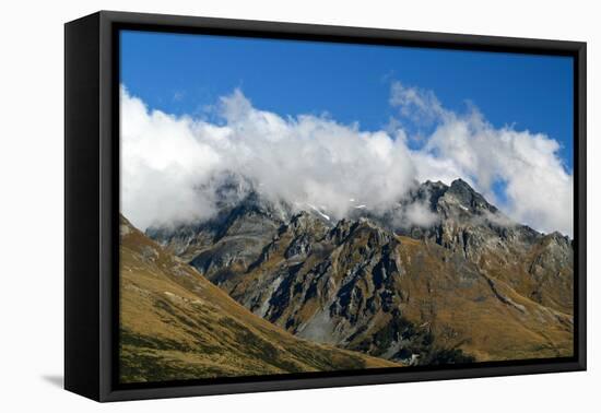 New Zealand, South Island, Fjordland National Park-Catharina Lux-Framed Premier Image Canvas