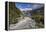 New Zealand, South Island, Fox Glacier Village, Fox Glacier hikers along Fox River-Walter Bibikow-Framed Premier Image Canvas