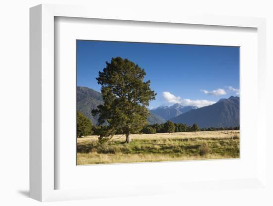 New Zealand, South Island, Fox Glacier Village, view of Mt. Tasman and Mt. Cook-Walter Bibikow-Framed Photographic Print