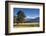 New Zealand, South Island, Fox Glacier Village, view of Mt. Tasman and Mt. Cook-Walter Bibikow-Framed Photographic Print