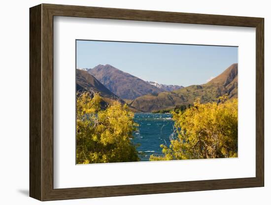 New Zealand, South Island, Lake Havea-Catharina Lux-Framed Photographic Print