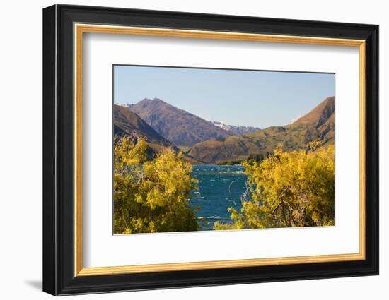 New Zealand, South Island, Lake Havea-Catharina Lux-Framed Photographic Print