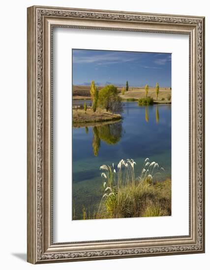 New Zealand, South Island, Mackenzie Country, Loch Cameron in Autumn-David Wall-Framed Photographic Print