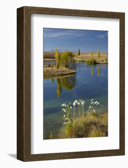 New Zealand, South Island, Mackenzie Country, Loch Cameron in Autumn-David Wall-Framed Photographic Print