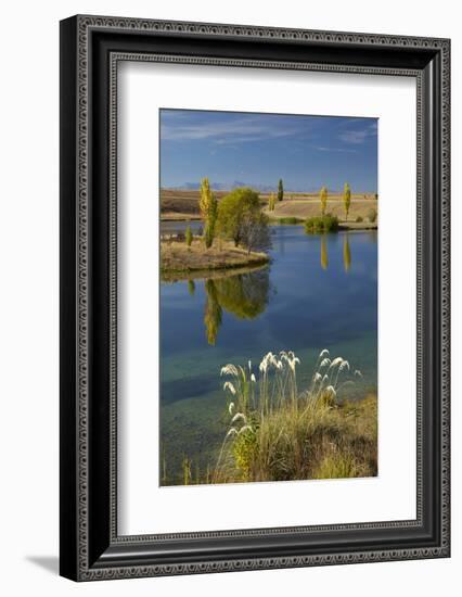 New Zealand, South Island, Mackenzie Country, Loch Cameron in Autumn-David Wall-Framed Photographic Print