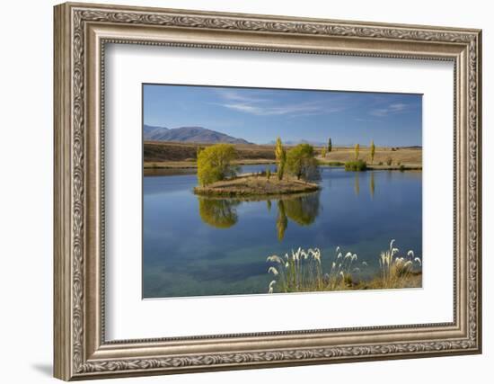 New Zealand, South Island, Mackenzie Country, Loch Cameron in Autumn-David Wall-Framed Photographic Print