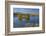 New Zealand, South Island, Mackenzie Country, Loch Cameron in Autumn-David Wall-Framed Photographic Print