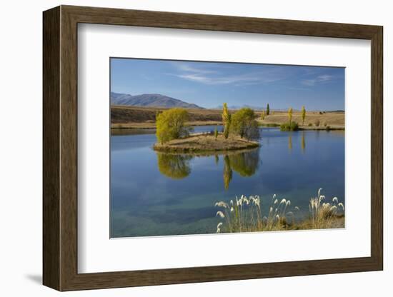 New Zealand, South Island, Mackenzie Country, Loch Cameron in Autumn-David Wall-Framed Photographic Print