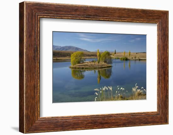 New Zealand, South Island, Mackenzie Country, Loch Cameron in Autumn-David Wall-Framed Photographic Print