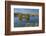 New Zealand, South Island, Mackenzie Country, Loch Cameron in Autumn-David Wall-Framed Photographic Print