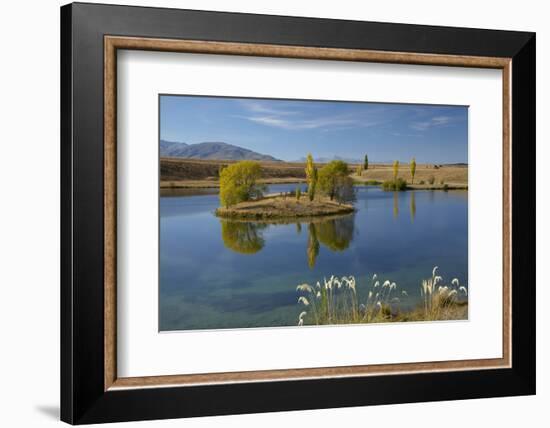 New Zealand, South Island, Mackenzie Country, Loch Cameron in Autumn-David Wall-Framed Photographic Print